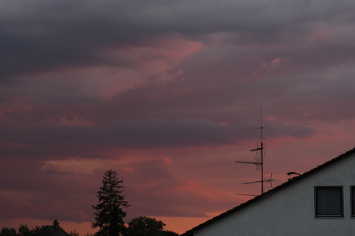 Sladjana | city vibes | fotograf auf alleFotografen