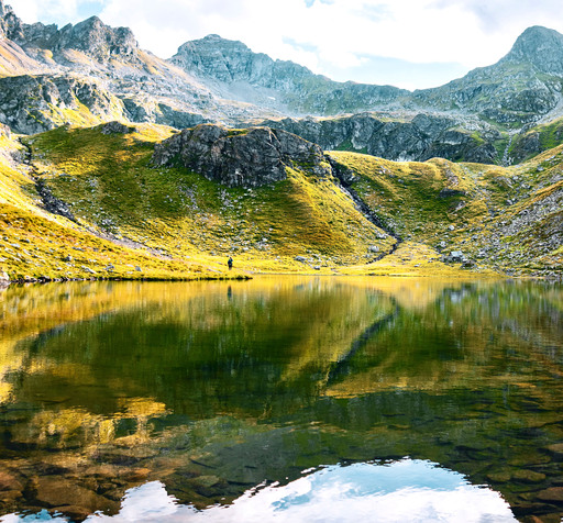 Anna-Marie Trattner Photography | Lungau | Tierfotograf auf alleFotografen