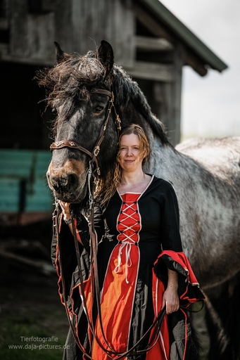 Tierfotografie daja-pictures | Pferdefotografie | Portraitfotograf auf alleFotografen