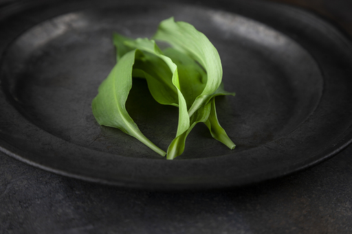 Barbara Buderath Fotografie | FOODFOTOGRAFIE | Imagefotograf auf alleFotografen