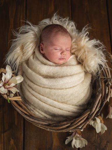 Hauser Fotografie | Newborn | Portraitfotograf auf alleFotografen