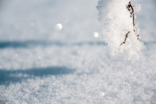 simonthegraf | inspiring nature | Interiorfotograf auf alleFotografen