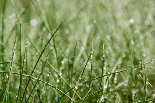 simonthegraf | inspiring nature | Landschaftsfotograf auf alleFotografen