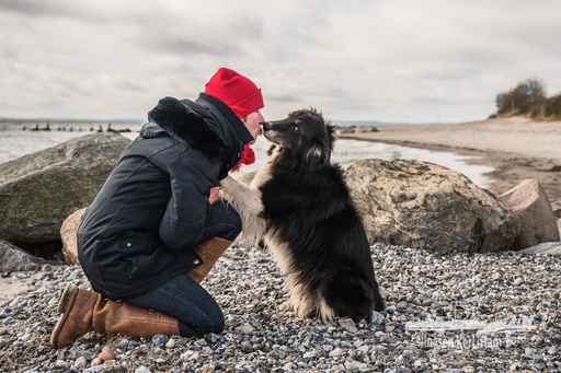 KerliHam_Foto | Me and you | Hundefotograf auf alleFotografen