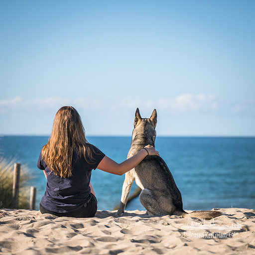KerliHam_Foto | Me and you | Paarfotograf auf alleFotografen