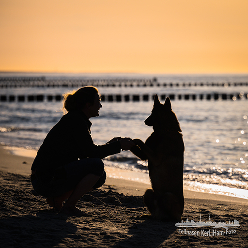 KerliHam_Foto | Me and you | Portraitfotograf auf alleFotografen