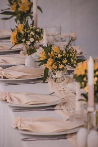 Lea Photography | Hochzeit | Tierfotograf auf alleFotografen