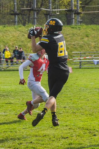 Lea Photography | Sport | Tierfotograf auf alleFotografen