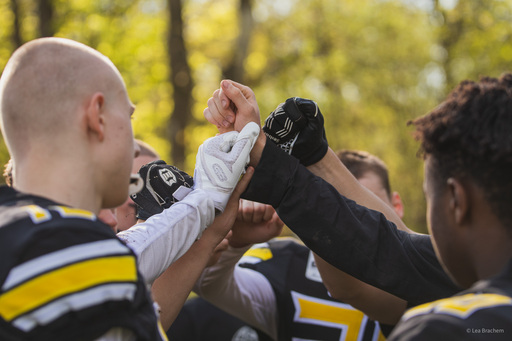 Lea Photography | Sport | Tierfotograf auf alleFotografen