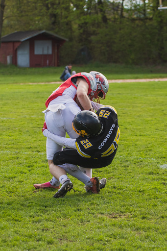 Lea Photography | Sport | Tierfotograf auf alleFotografen