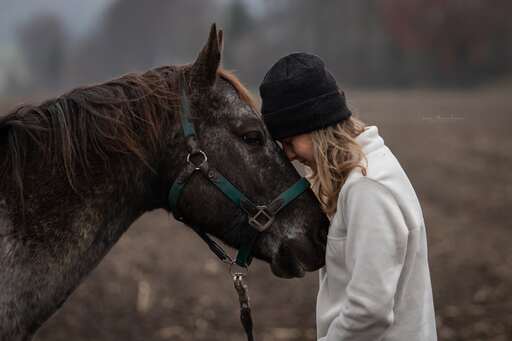 Lea Photography | Tiere | Paarfotograf auf alleFotografen