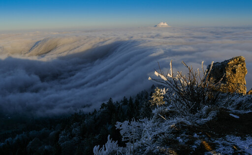 foto_tg | Landschaft | Tierfotograf auf alleFotografen