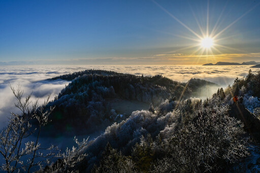 foto_tg | Landschaft | Tierfotograf auf alleFotografen