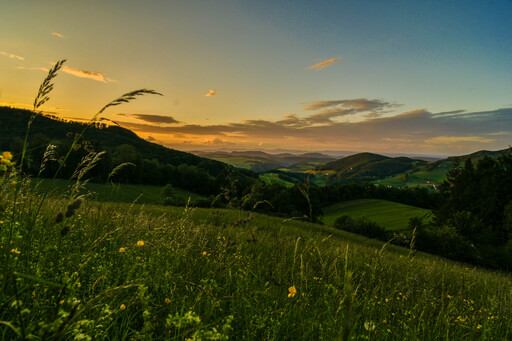 foto_tg | Landschaft | Tierfotograf auf alleFotografen