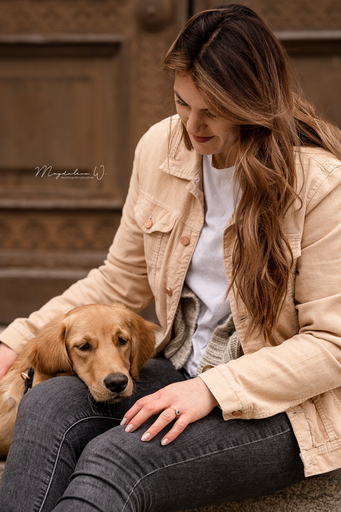 sie.fotografiert.jetzt.pferde | Hunde | Hundefotograf auf alleFotografen