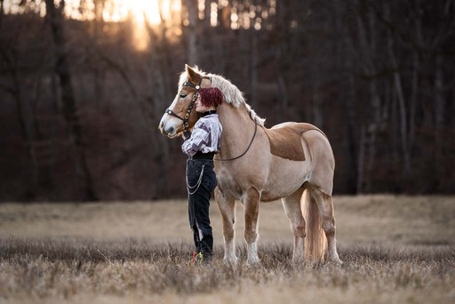 sie.fotografiert.jetzt.pferde | Pferde | Tierfotograf auf alleFotografen