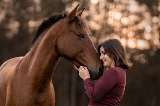 sie.fotografiert.jetzt.pferde | Pferde | Tierfotograf auf alleFotografen