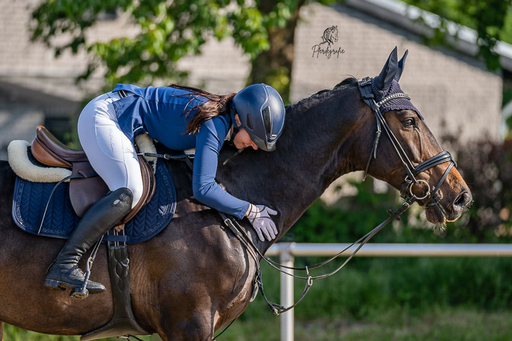 Pferdegrafie | Turnierfotografie | Sportfotograf auf alleFotografen