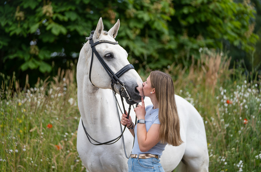 Pferdegrafie | Shootings | Tierfotograf auf alleFotografen