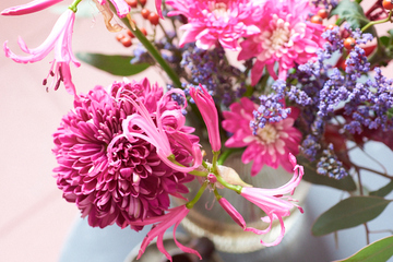 Floral-Beauty