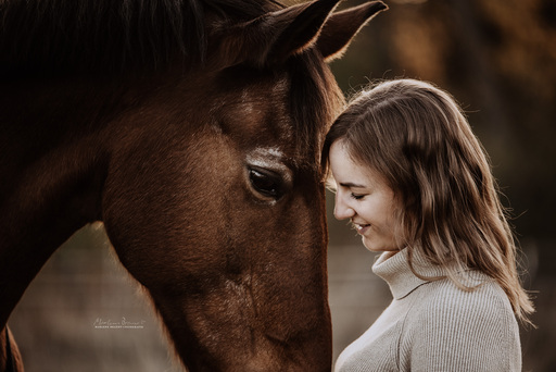 Marlene Brandt – Fotografie | Mensch &  Tier | Hundefotograf auf alleFotografen