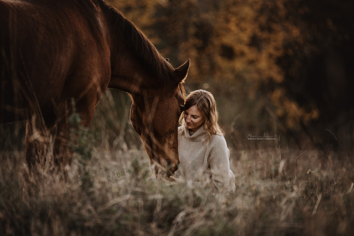 Marlene Brandt – Fotografie | Mensch &  Tier | Hundefotograf auf alleFotografen