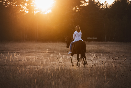 Marlene Brandt – Fotografie | Mensch &  Tier | Hundefotograf auf alleFotografen