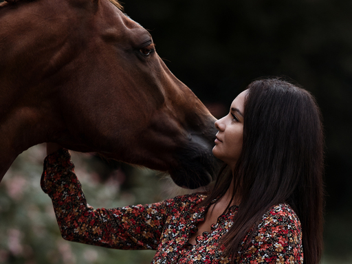 Susanne Brunnmeier Fotografie | PFERDE | Hundefotograf auf alleFotografen