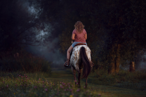 Susanne Brunnmeier Fotografie | PFERDE | Pferdefotograf auf alleFotografen