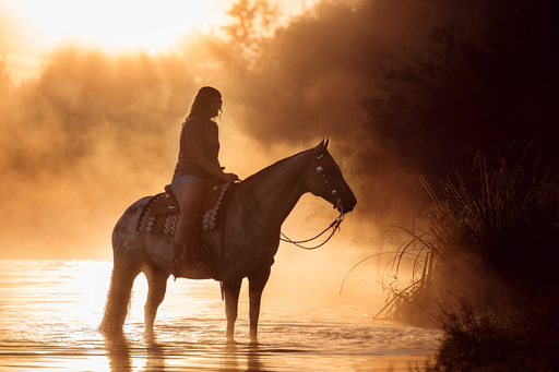 Susanne Brunnmeier Fotografie | PFERDE | Tierfotograf auf alleFotografen