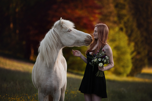 Susanne Brunnmeier Fotografie | PFERDE | Pferdefotograf auf alleFotografen