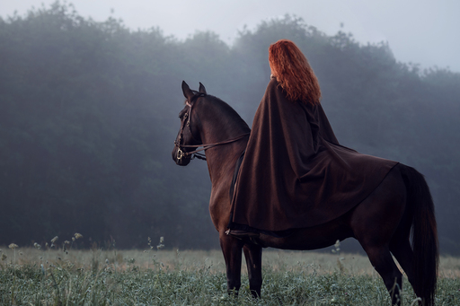 Susanne Brunnmeier Fotografie | PFERDE | Hundefotograf auf alleFotografen