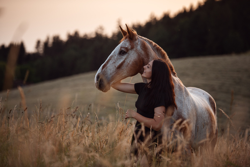 Susanne Brunnmeier Fotografie | PFERDE | Pferdefotograf auf alleFotografen