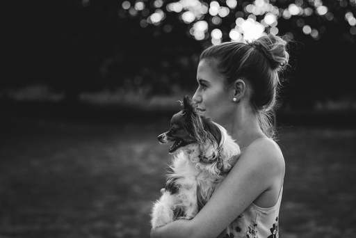 Susanne Brunnmeier Fotografie | HUNDE | Hundefotograf auf alleFotografen