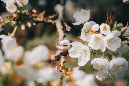 Nico Bogenreuther | Standesamt/Hochzeit | Sportfotograf auf alleFotografen