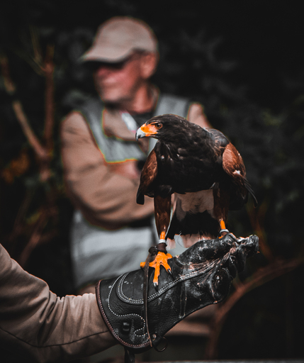 speedsupreem | X | Beautyfotograf auf alleFotografen