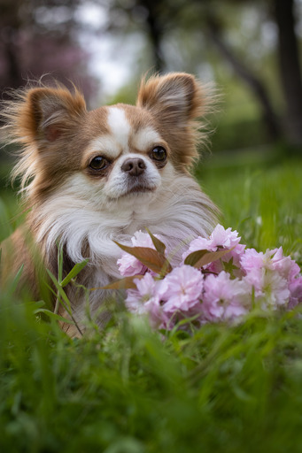 speedsupreem | X | Paarfotograf auf alleFotografen