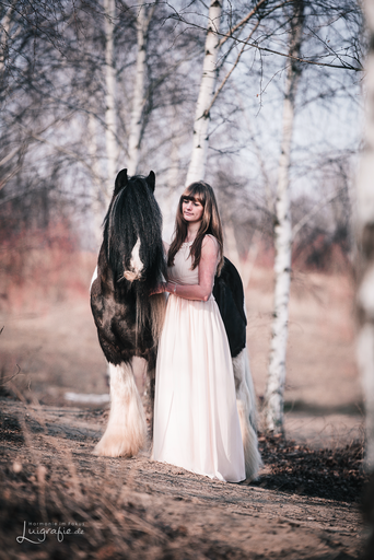 Luigrafie - Luisa Mocker | Pferde | Tierfotograf auf alleFotografen