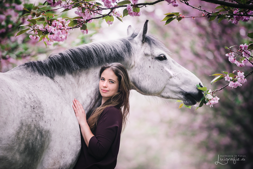 Luigrafie - Luisa Mocker | Pferde | Pferdefotograf auf alleFotografen