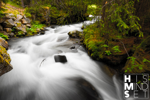 Florian GΓΆhring - HISMINDSET | Natur | Passbildfotograf auf alleFotografen