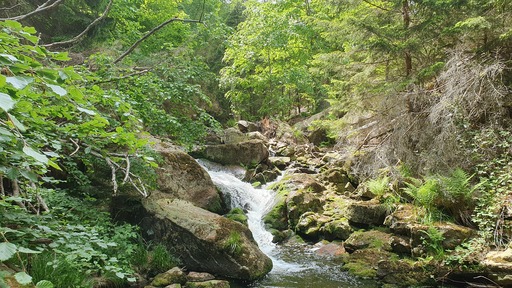 Vagabundo | Naturmomente | Beautyfotograf auf alleFotografen