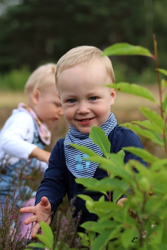 Ewito Fotografie Thomas Ewinger | Familie | Hochzeitsfotograf auf alleFotografen