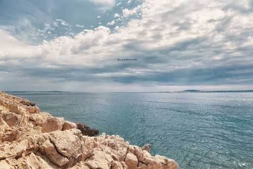 Lucia Benavides | Natur  | Familienfotograf auf alleFotografen
