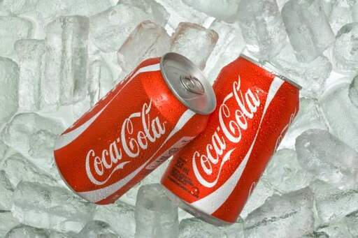 Lucia Benavides | Produktfotos | Hundefotograf auf alleFotografen