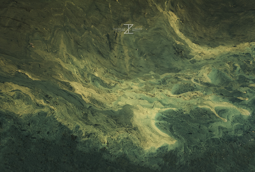 TzProduction | DrohnenAufnahmen | Hochzeitsfotograf auf alleFotografen