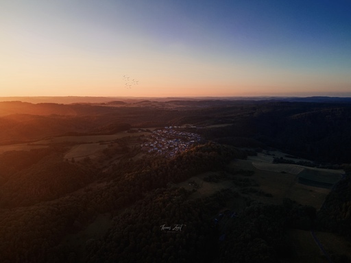 TzProduction | DrohnenAufnahmen | Pferdefotograf auf alleFotografen