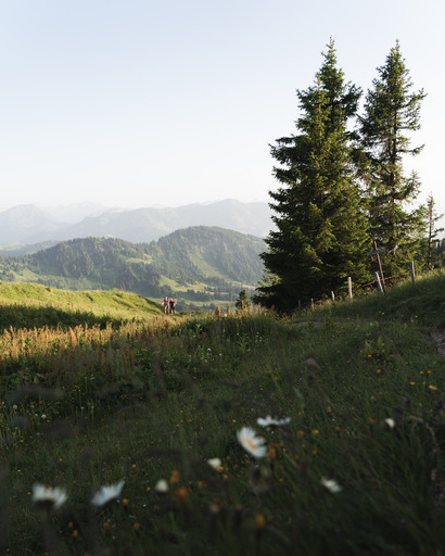 Simon Brausten | Landschaft  | Portraitfotograf auf alleFotografen
