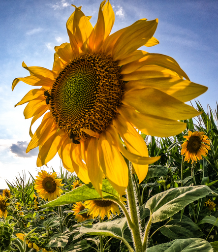 S T E P H I E G R A F I E  | Fotokunst | Architekturfotograf auf alleFotografen