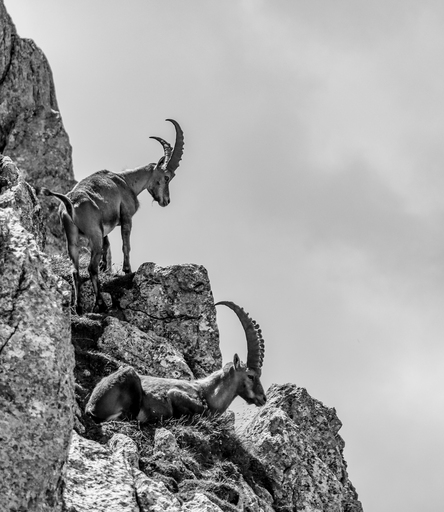 S T E P H I E G R A F I E  | Fotokunst | Kunstfotograf auf alleFotografen