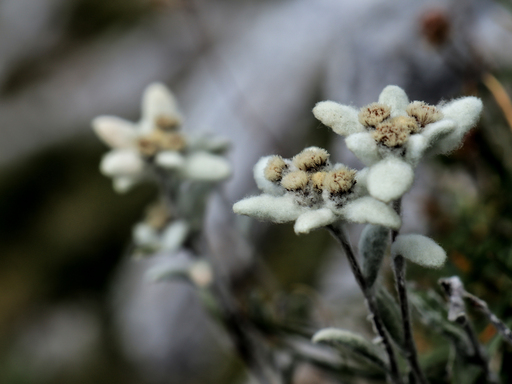 S T E P H I E G R A F I E  | Fotokunst | Pressefotograf auf alleFotografen